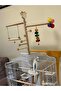 Parrot cage top giant double mirrored bird figured stress ball game track