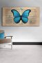 الفراشة الزرقاء قماش اللوحة
