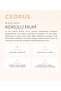 Cedrus Mum - 3