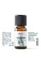 Basil Essential Oil / Basil Oil / Aromatherapy / Fragrance / Essential Oil / Essential Oils / 10 ml - 3