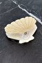 Seashell Clothespin Buckle, Cream Color - 2