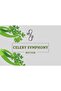 Celery Symphony Bitter 100ml - 2