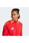 Men's Sports Jacket Tiro24 C Tr Jkt Ip1875 - 4