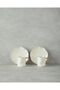 Rolly New Bone China 4 Pieces Coffee Cup Set for 2 People White - 2