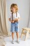 Light Blue Boys' Denim Shorts with Stripe Stitching Detail on the Front and Elastic Waist - 4