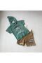 Baby Boy Shorts T-Shirt Set - 2