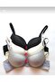 Ebru Bra Women's Padded Bra 3-Pack