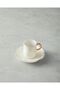 Rolly New Bone China 4 Pieces Coffee Cup Set for 2 People White - 3