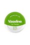 Lip Cream Lip Therapy Aloe Vera 20 gr - 2