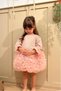 Powder-Colored Tutu Long Sleeve Baby Girl Dress