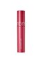 Intense Pigmented Long Lasting Juicy Lasting Tint - 06 Figfig - 2