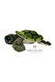 Caretta Turtle Plush, Green, Big Eyes, Small Eyes 23 cm x 24 cm, Large Eyes 30 cm x 28 cm - 3