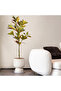 120cm Large Faux Ficus Tree - Tropical Rubber Plants Plastic Codiaeum Tree Leaves, Autobtan - 4
