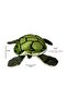 Caretta Turtle Plush, Green, Big Eyes, Small Eyes 23 cm x 24 cm, Large Eyes 30 cm x 28 cm - 4