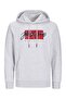 Hoodie Logo Hoodie - 2