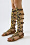 Hades Taba-Leopard Below-The-Knee Gladiator Women's Sandals Opportunity Product - 3