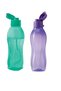 Eco Bottle Water Bottle 750 ml Mint Green Purple Set of 2