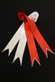Red Bridal Veil Set, Groom Shoulder Covering, Jewelry Ribbon, Hand Rose, Henna Veil Shawl,10 Pieces - 4