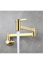 Kitchen Stove Top Faucet Pot New Model Gold Gold Color Imported