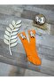 Safari themed zebra-themed baby knee-high socks - 4