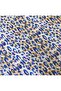 طقم غطاء لحاف مزدوج بنقشة الفهد مقاس 200 × 220 سم - قطعتين 50 × 70 سم ملون - 3