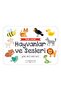 Animals and Their Sounds Card Set