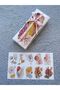 Bohemian Flower Themed Opaque Sticker Set - (3 SET / 30 PIECES STICKERS) - 4