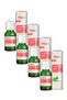 Aloe Vera (Yellow Aloe) Oil Maceration 20 ml 4 Pieces