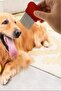 Long Pet Hair Collector Cleaning Brush - Hair Care Comb Lice Flea and Handle Comb Set - 8