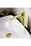 Root Round A4270723 Bowl Sink Faucet, Gold - 2