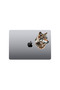 Bozkurt Sticker Motor, Helmet, Laptop, Car Sticker 13X12 cm - 4