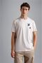 Men's Cotton Regular Fit Round Neck Beige T-Shirt24411117-029