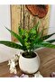 زهرة اصطناعية مع وعاء ديكور طاولة شرفة زهرة حجر طبيعي موس ديكور سطح الطاولة - 2