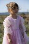 Girl Baby Girl Kids Birthday Party Wedding Dress With Tulle Tutu Lining Children's Clothing baby clothing Elbuznk - 3