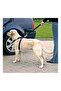 Pet Cat - Dog Vehicle Seat Belt 2 Pieces Hold Your Dog - 3