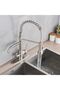 Kitchen sink faucet dual flow water purification outlet with spiral and fountain 7 year warranty imported nickel - 3