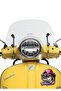 Women Fish Sticker Motor, Helmet, Laptop, Car Sticker 13X10 cm - 2