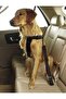 Adjustable Car Pet Auto Collars For Black Cat Dog Vehicle Seat Belt Leash - 5