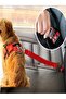 Adjustable Car Pet Auto Collars For Black Cat Dog Vehicle Seat Belt Leash - 3