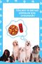 Market Dog Toy Set 2 Pieces Plush Toy with Sounds Pizza and Box Beverage Dog Toys - 9