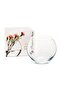43417 Glass Jar Aquarium - 2