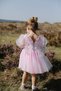 Girl Baby Girl Kids Birthday Party Wedding Dress With Tulle Tutu Lining Children's Clothing baby clothing Elbuznk - 6