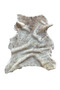 Real Sheepskin Short Sheepskin - Natural Short Sheepskin - Natural Sheepskin - 5