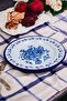 No. 30 Enameled Food Plate Plate Serving Food Camping Picnic