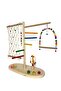 Budgie with Climbing Area, paradise, forpus,sevda and Cockatiel Toy - 4