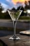 Timeless 6'lı Martini Bardağı 210 ml