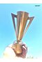 GOLD CUP GOLD CUP 20 CM - 2