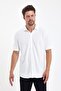 Men's Polo Neck Short Sleeve Button Loose Ecru Shirt