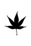 Maple Leaf Sticker for Car, Engine, Laptop, Wall, Foil Sticker 40x44 cm - 3