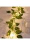 ديكور أخضر أوراق اصطناعية 230 سم لبلاب و3mt Fairy Led Daylight 7249series - 2